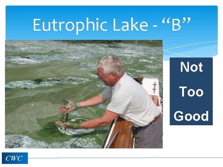 Eutrophic Lake - “B” Not Too Good CWC 