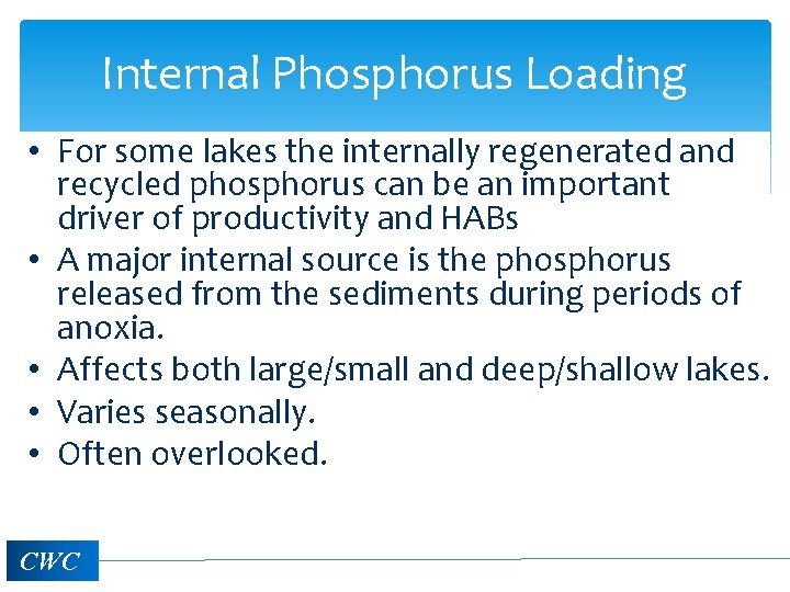 Internal Phosphorus Loading • For some lakes the internally regenerated and recycled phosphorus can