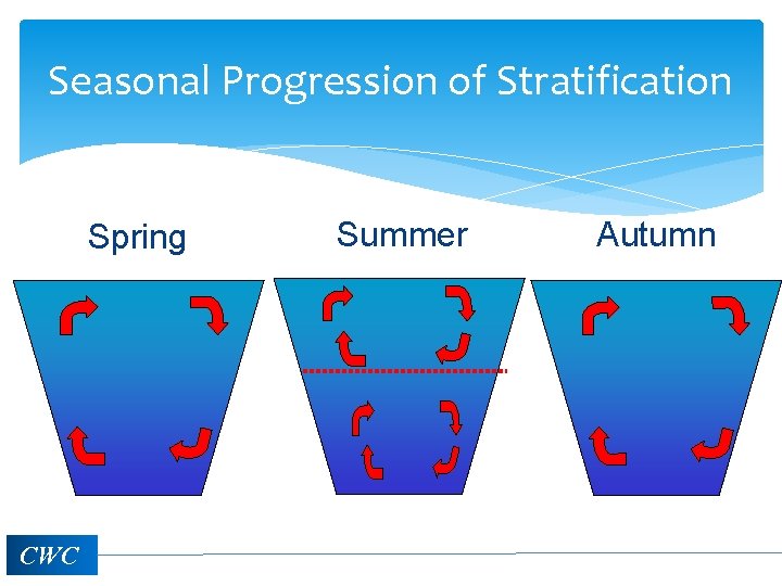 Seasonal Progression of Stratification Spring CWC Summer Autumn 