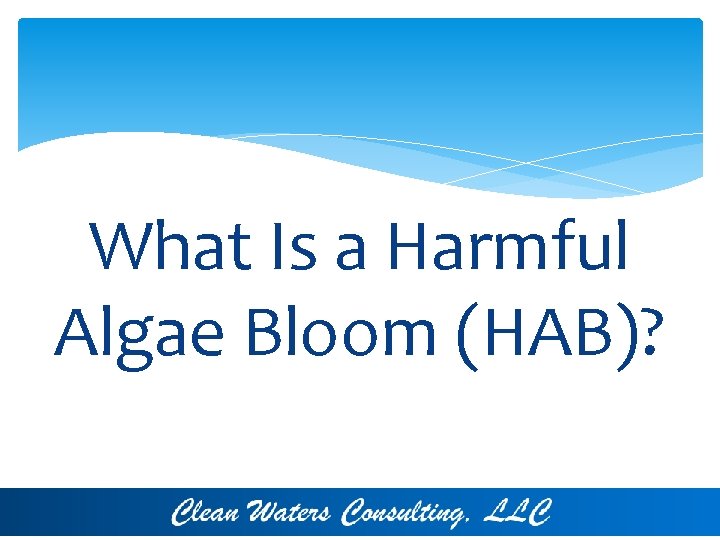 What Is a Harmful Algae Bloom (HAB)? CWC 