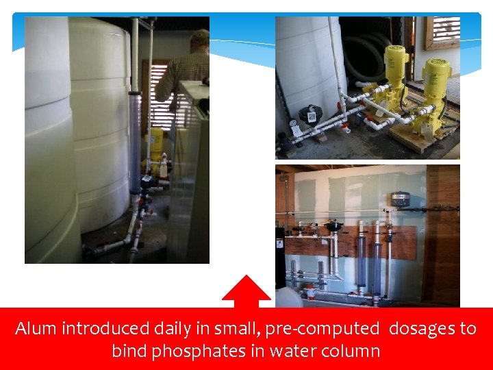 Alum introduced daily in small, pre-computed dosages to bind phosphates in water column 
