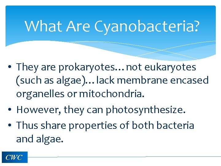 What Are Cyanobacteria? • They are prokaryotes…not eukaryotes (such as algae)…lack membrane encased organelles