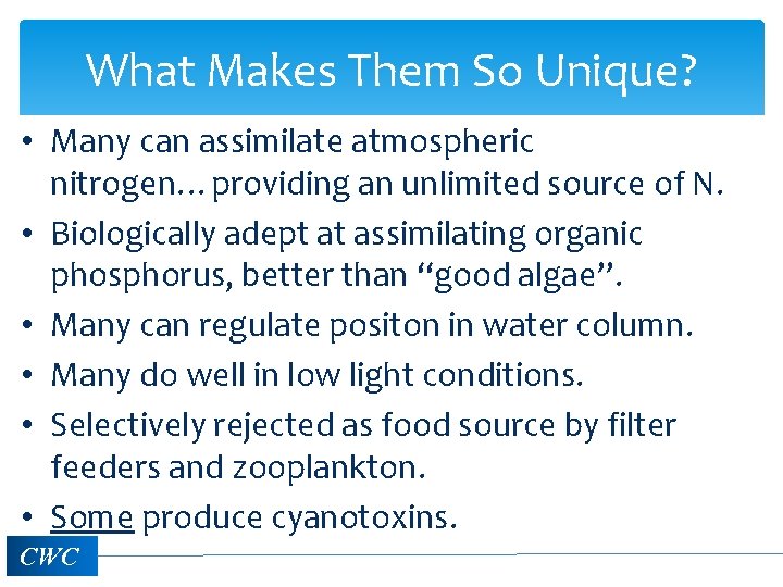 What Makes Them So Unique? • Many can assimilate atmospheric nitrogen…providing an unlimited source