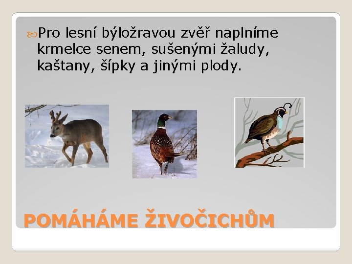  Pro lesní býložravou zvěř naplníme krmelce senem, sušenými žaludy, kaštany, šípky a jinými