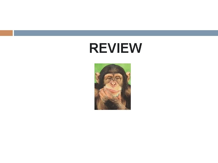 REVIEW 