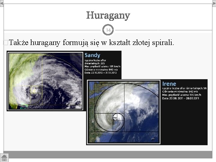 14 �Także huragany formują się w kształt złotej spirali. 