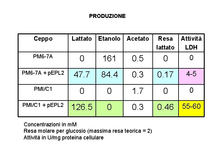 PRODUZIONE Ceppo Lattato Etanolo Acetato Resa lattato Attività LDH PM 6 -7 A 0