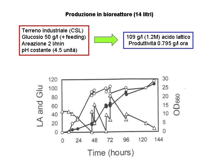Produzione in bioreattore (14 litri) Terreno industriale (CSL) Glucosio 50 g/l (+ feeding) Areazione