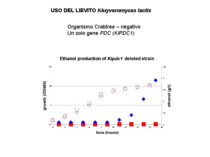USO DEL LIEVITO Kluyveromyces lactis Organismo Crabtree – negativo Un solo gene PDC (Kl.