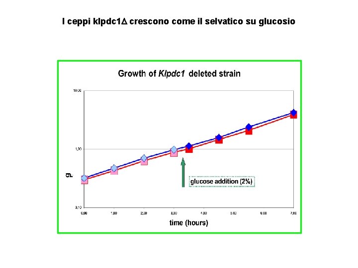 I ceppi klpdc 1 crescono come il selvatico su glucosio 