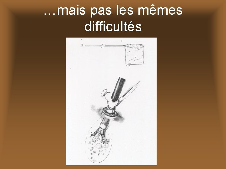 …mais pas les mêmes difficultés 