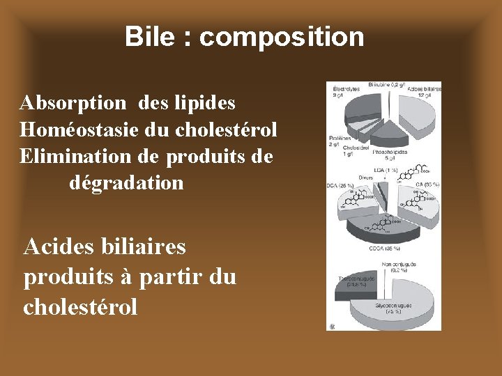 Bile : composition Absorption des lipides Homéostasie du cholestérol Elimination de produits de dégradation