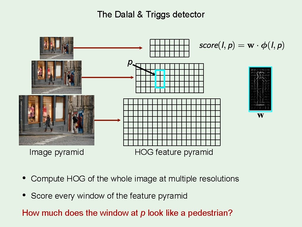 The Dalal & Triggs detector p w Image pyramid HOG feature pyramid • Compute