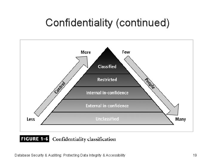 Confidentiality (continued) Database Security & Auditing: Protecting Data Integrity & Accessibility 19 