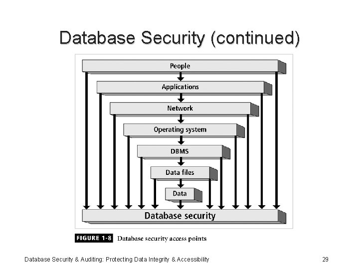 Database Security (continued) Database Security & Auditing: Protecting Data Integrity & Accessibility 29 