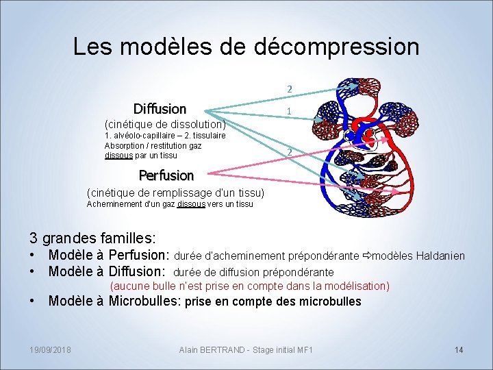 Les modèles de décompression 2 Diffusion 1 (cinétique de dissolution) 1. alvéolo-capillaire – 2.