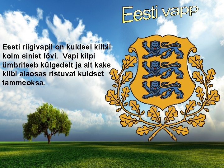 Eesti riigivapil on kuldsel kilbil kolm sinist lõvi. Vapi kilpi ümbritseb külgedelt ja alt
