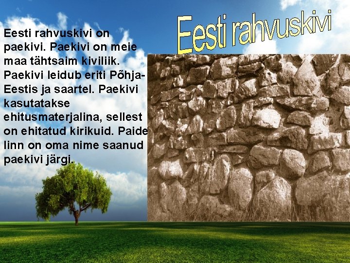 Eesti rahvuskivi on paekivi. Paekivi on meie maa tähtsaim kiviliik. Paekivi leidub eriti Põhja.