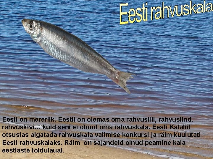 Eesti on mereriik. Eestil on olemas oma rahvuslill, rahvuslind, rahvuskivi… kuid seni ei olnud