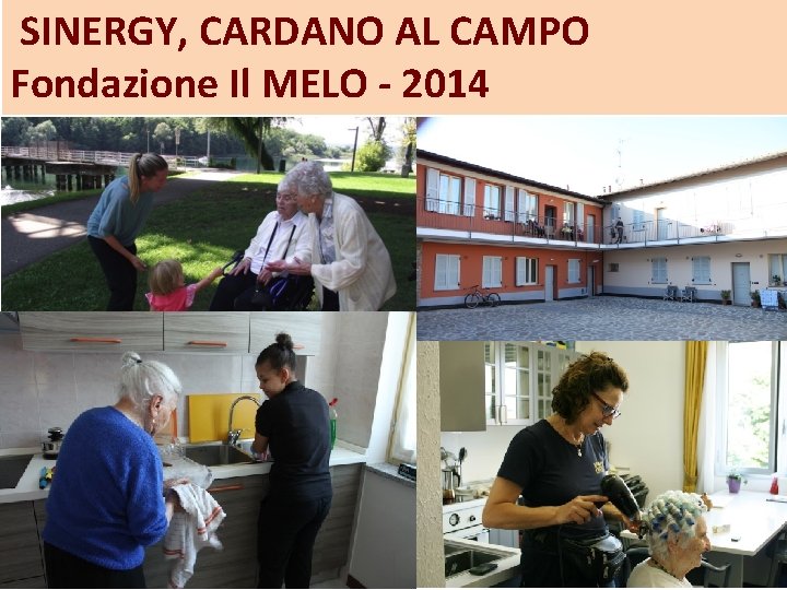 SINERGY, CARDANO AL CAMPO Fondazione Il MELO - 2014 