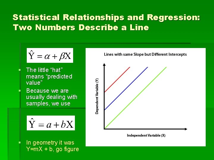 Statistical Relationships and Regression: Two Numbers Describe a Line § The little “hat” means