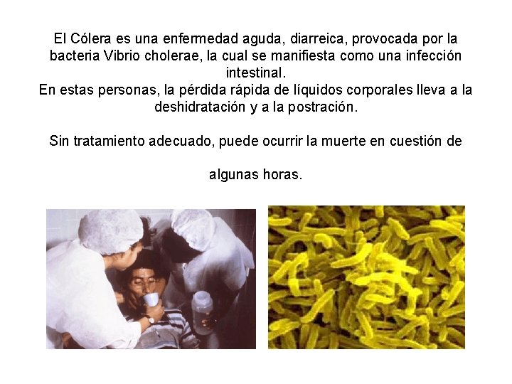 El Cólera es una enfermedad aguda, diarreica, provocada por la bacteria Vibrio cholerae, la