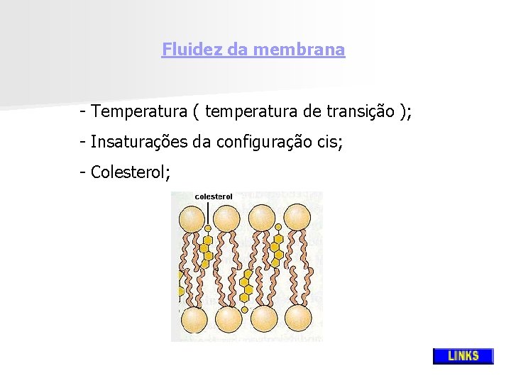 Fluidez da membrana - Temperatura ( temperatura de transição ); - Insaturações da configuração