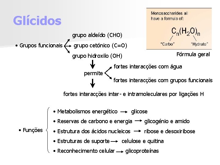 Glícidos grupo aldeído (CHO) • Grupos funcionais grupo cetónico (C=O) Fórmula geral grupo hidroxilo