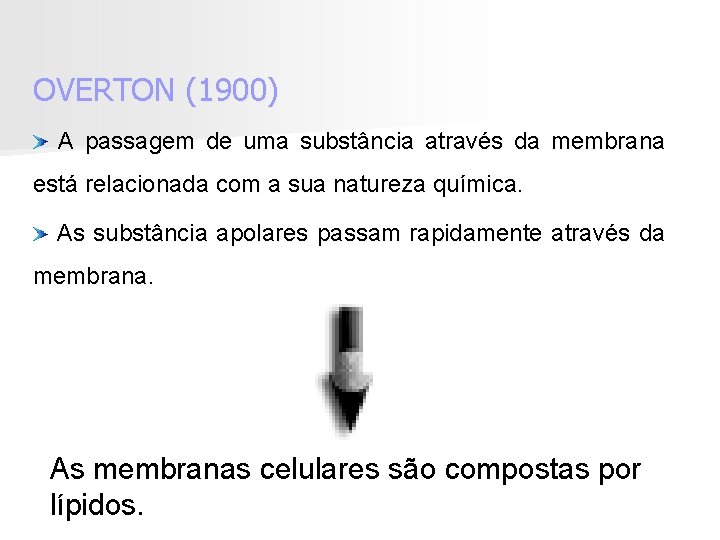 OVERTON (1900) A passagem de uma substância através da membrana está relacionada com a