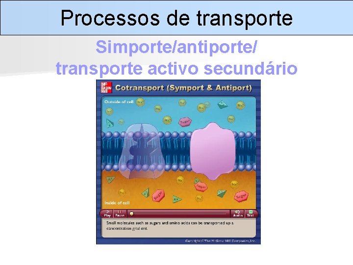 Processos de transporte Simporte/antiporte/ transporte activo secundário 