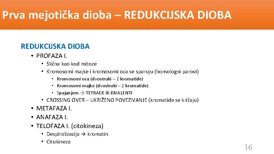 Prva mejotička dioba – REDUKCIJSKA DIOBA • PROFAZA I. • Slična kao kod mitoze