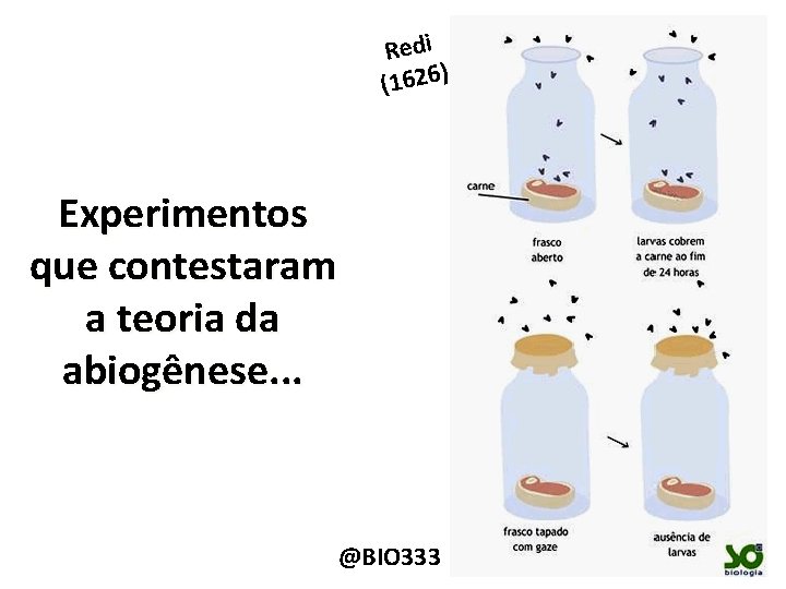 Redi (1626) Experimentos que contestaram a teoria da abiogênese. . . @BIO 333 