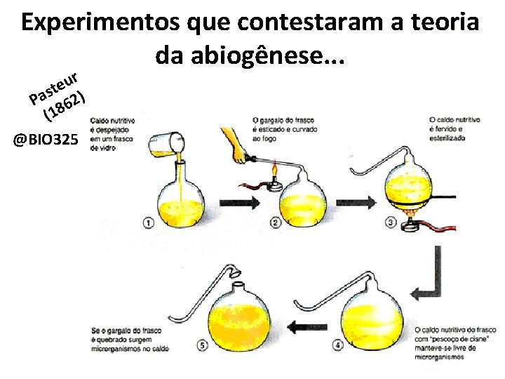 Experimentos que contestaram a teoria da abiogênese. . . r u e st )
