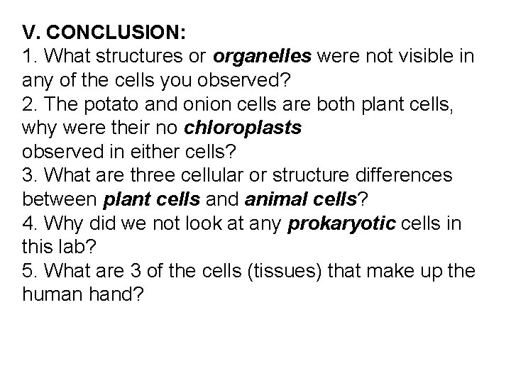 V. CONCLUSION: 1. What structures or organelles were not visible in any of the