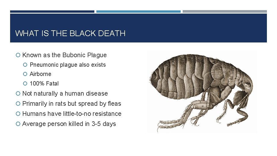 WHAT IS THE BLACK DEATH Known as the Bubonic Plague Pneumonic plague also exists