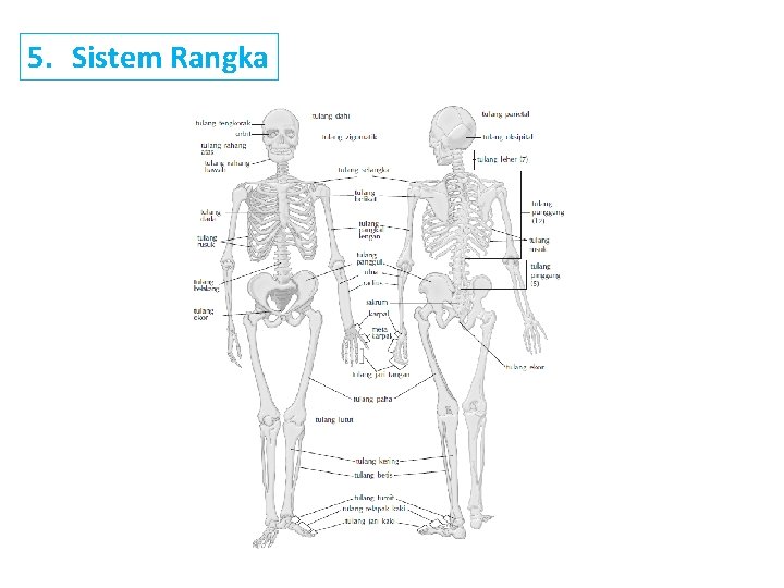 5. Sistem Rangka 