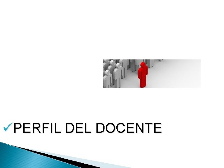 üPERFIL DEL DOCENTE 