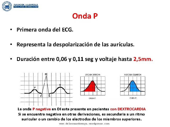 Onda P • Primera onda del ECG. • Representa la despolarización de las aurículas.