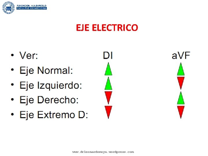 EJE ELECTRICO www. drleonardomoya. wordpress. com 