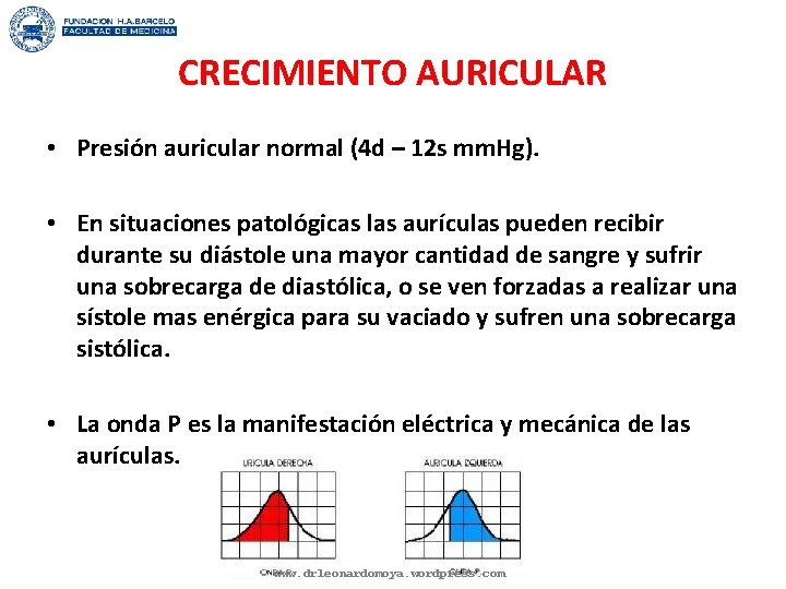 CRECIMIENTO AURICULAR • Presión auricular normal (4 d – 12 s mm. Hg). •