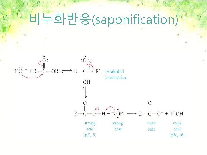 비누화반응(saponification) 