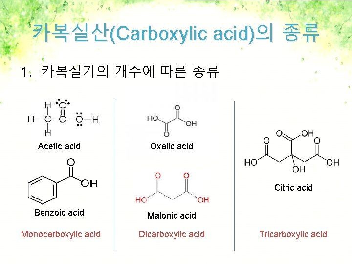 카복실산(Carboxylic acid)의 종류 1. 카복실기의 개수에 따른 종류 Acetic acid Oxalic acid Citric acid