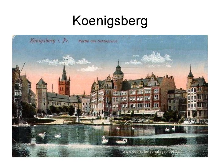 Koenigsberg 