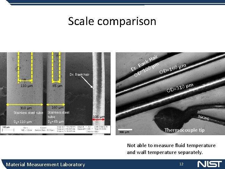 Scale comparison air H ek m a B μ μm Dr. ~100 OD=160 OD