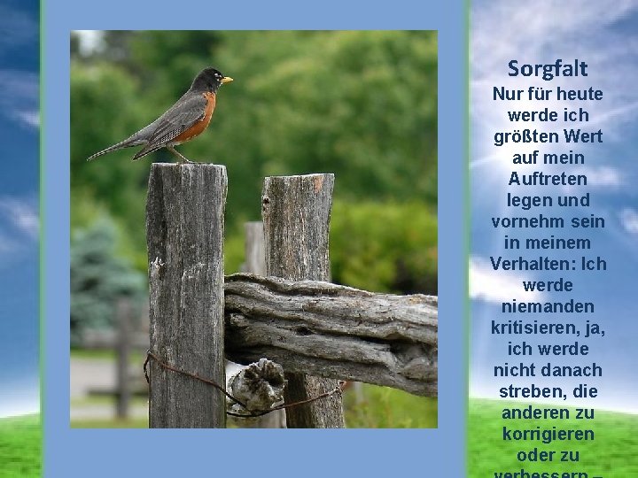 Sorgfalt Nur für heute werde ich größten Wert auf mein Auftreten legen und vornehm
