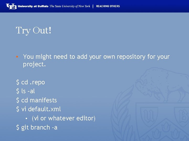 Try Out! • You might need to add your own repository for your project.