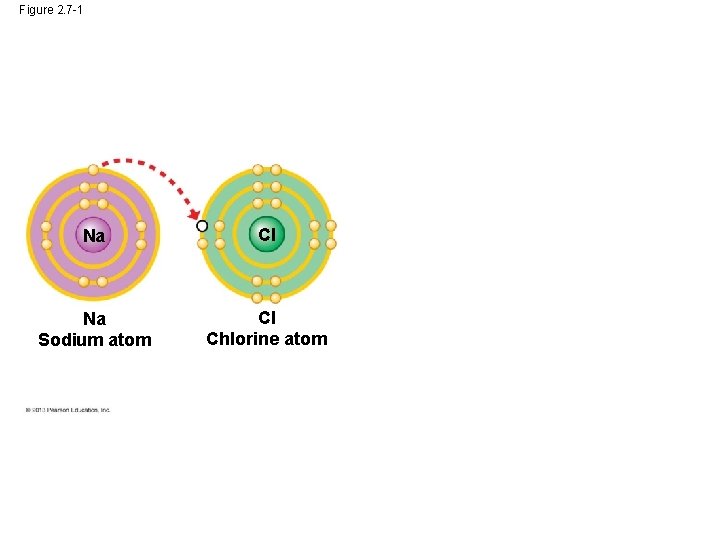 Figure 2. 7 -1 Na Cl Na Sodium atom Cl Chlorine atom 