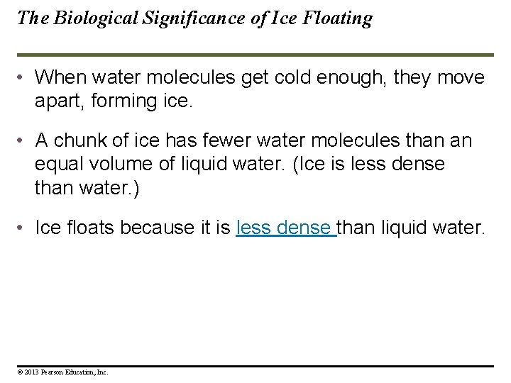 The Biological Significance of Ice Floating • When water molecules get cold enough, they
