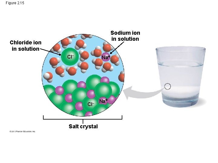 Figure 2. 15 Sodium ion in solution Chloride ion in solution Cl– Na Cl