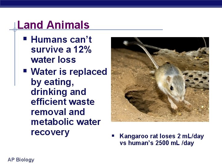 Land Animals § Humans can’t § survive a 12% water loss Water is replaced